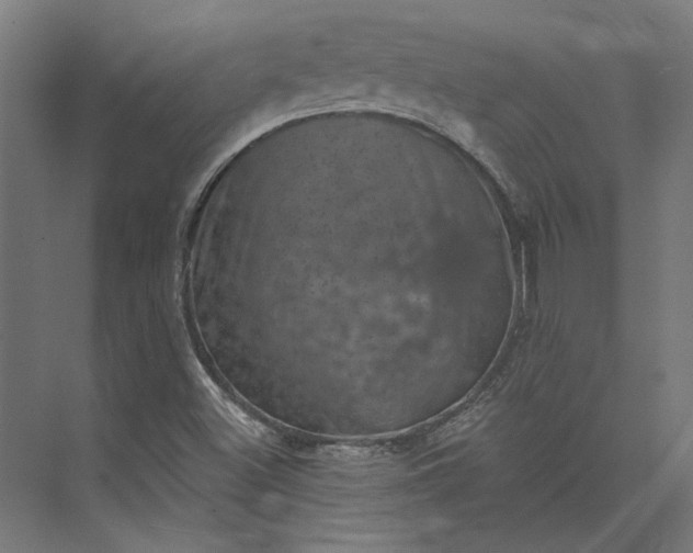 X0000074041500200609061154