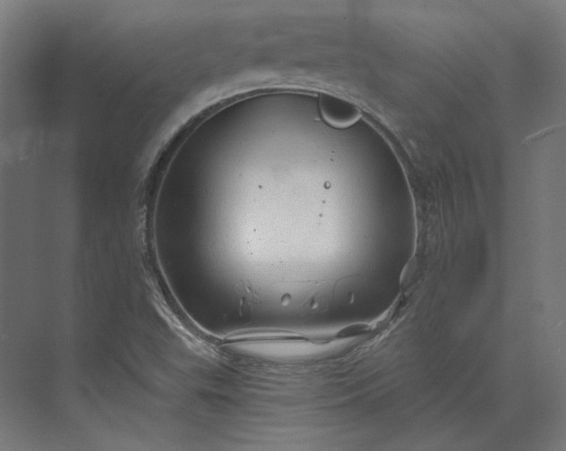 X0000074041503200609061154