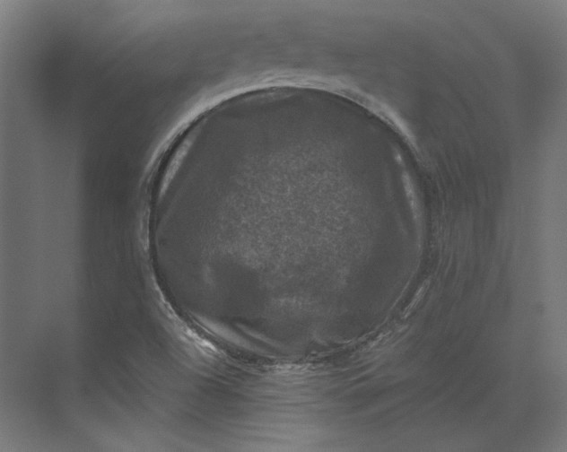 X0000074041504200609061154