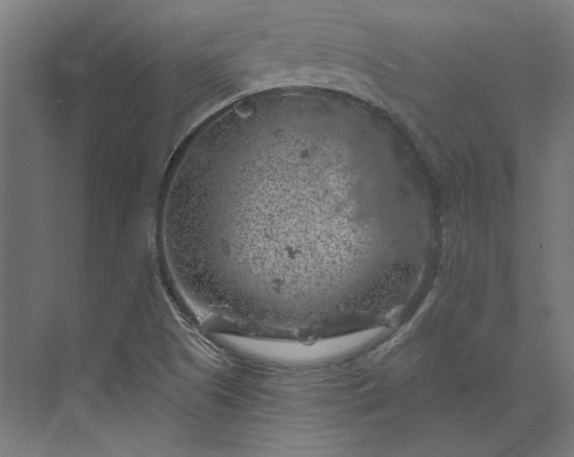 X0000074041505200609061154