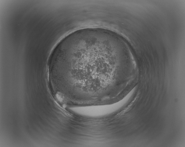 X0000074041509200609061154