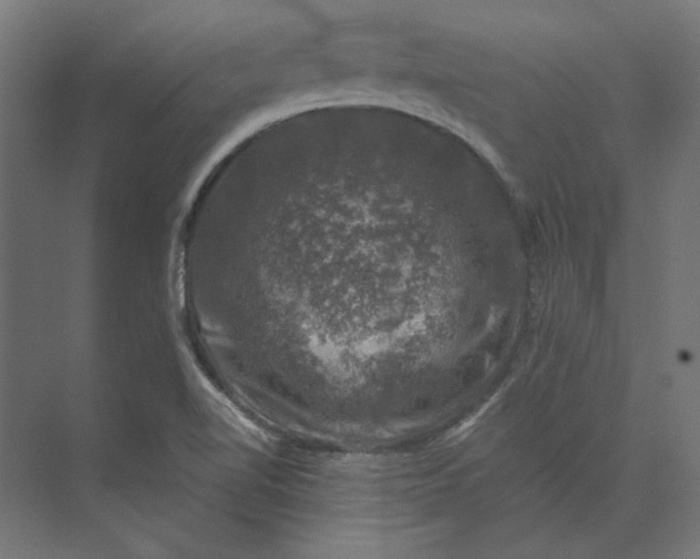 X0000074041510200609061154