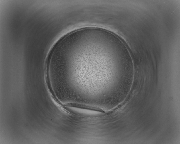 X0000074041511200609061154