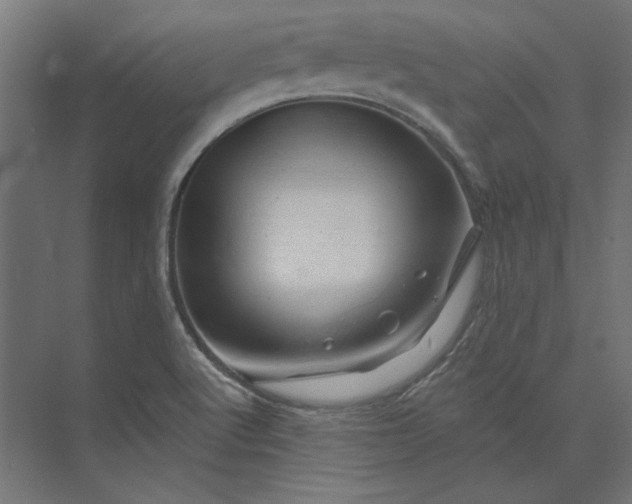 X0000074041512200609061154