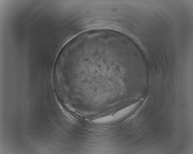 X0000074041513200609061154