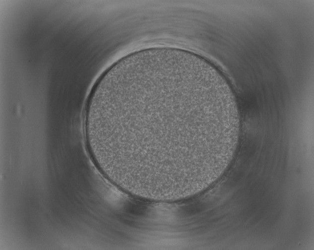 X0000074041514200609061154