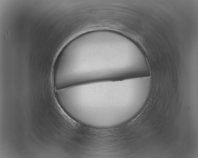 X0000074041516200609061154