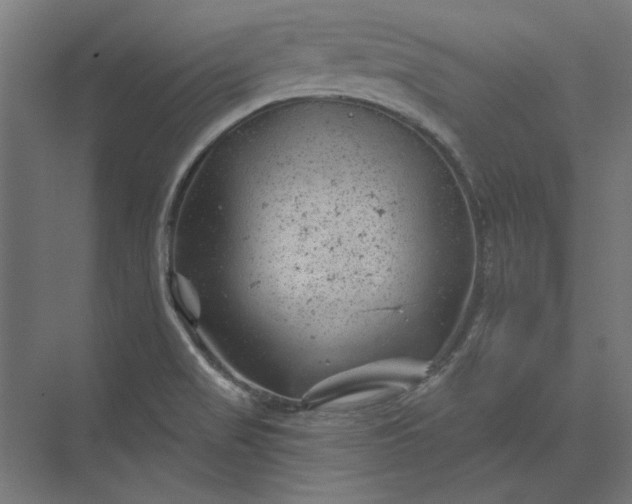 X0000074041517200609061154