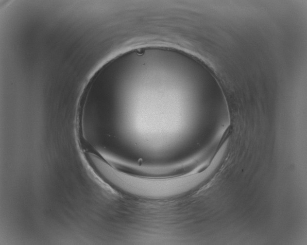 X0000074041518200609061154