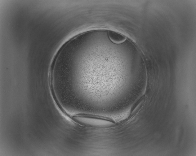 X0000074041519200609061154