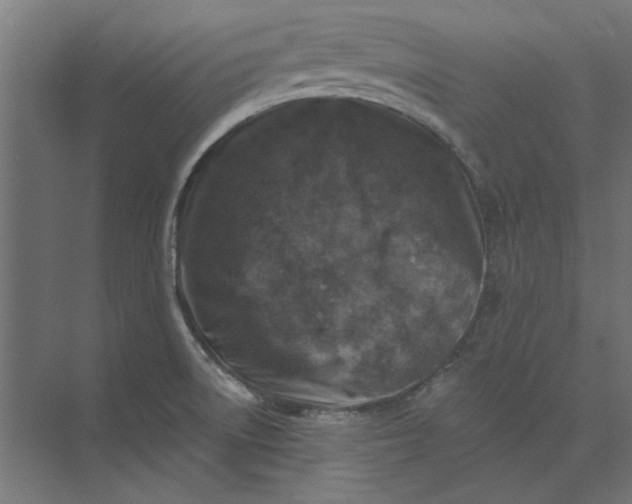 X0000074041522200609061154