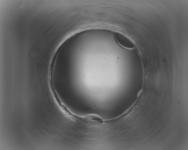 X0000074041523200609061154