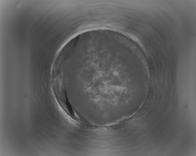 X0000074041524200609061154