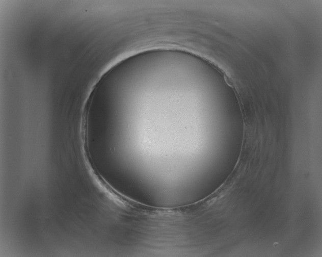 X0000074041526200609061154