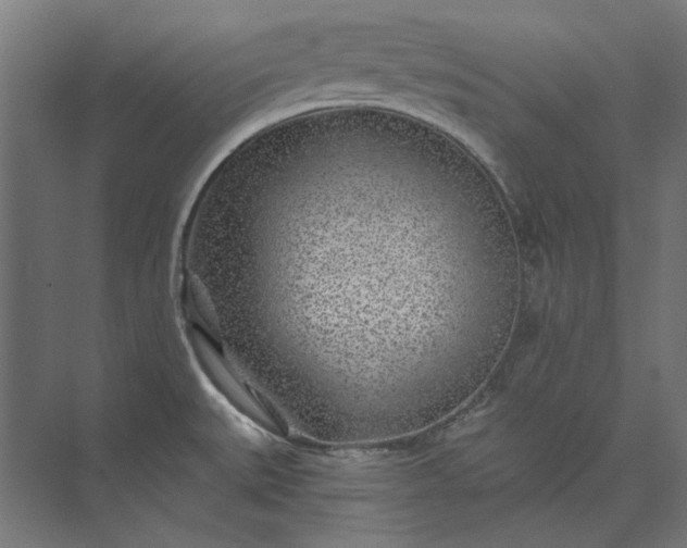 X0000074041527200609061154