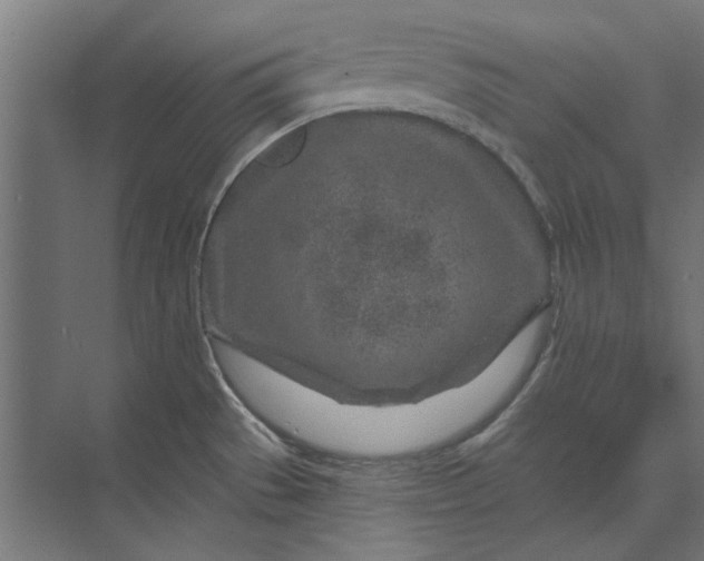 X0000074041529200609061154