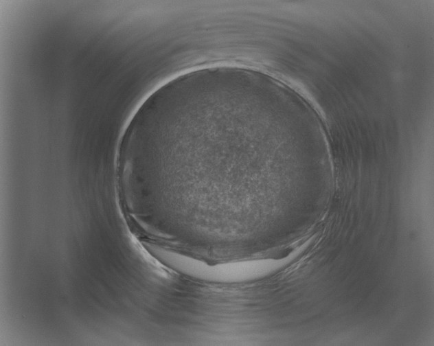 X0000074041532200609061154