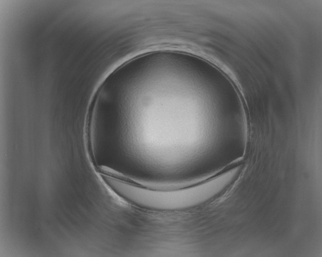 X0000074041533200609061154