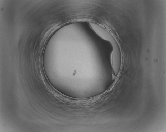 X0000074040001200609111751