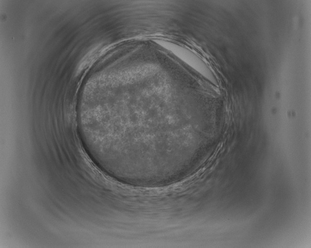 X0000074040002200609111751