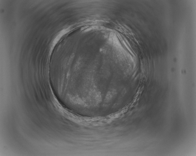 X0000074040003200609111751