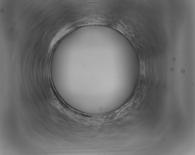 X0000074040004200609111750