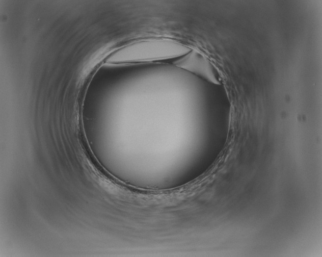 X0000074040005200609111750