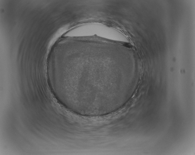 X0000074040006200609111750