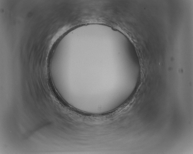 X0000074040008200609111750