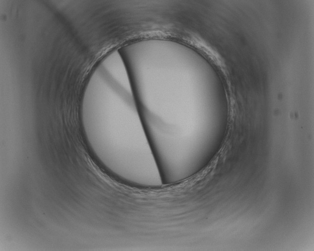 X0000074040009200609111750