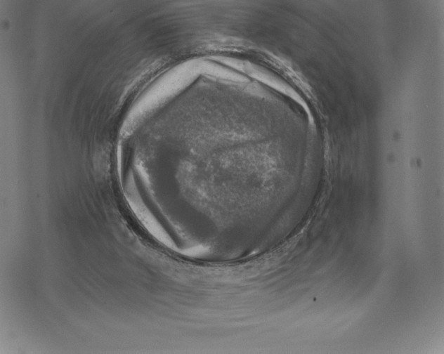 X0000074040010200609111750