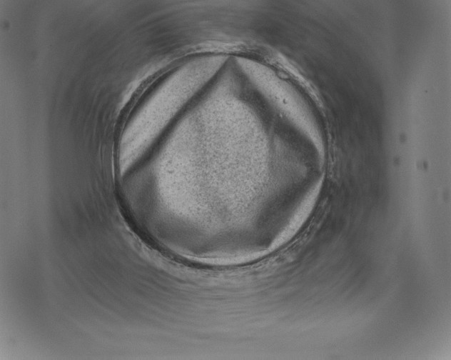 X0000074040011200609111750