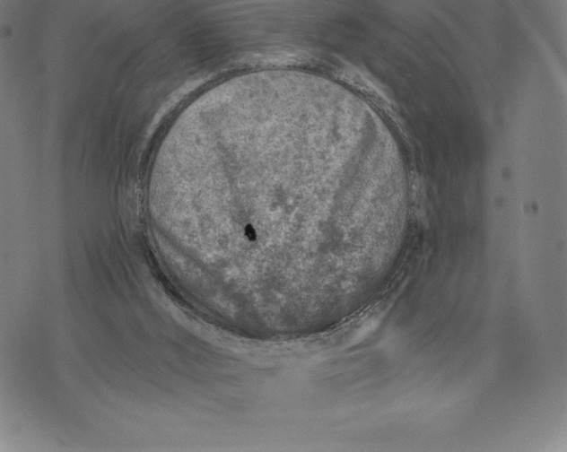 X0000074040012200609111750