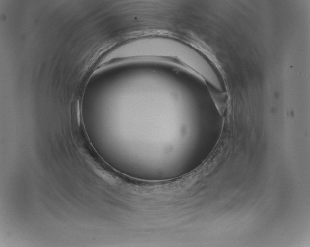 X0000074040013200609111750