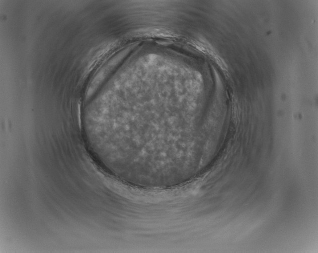 X0000074040014200609111750