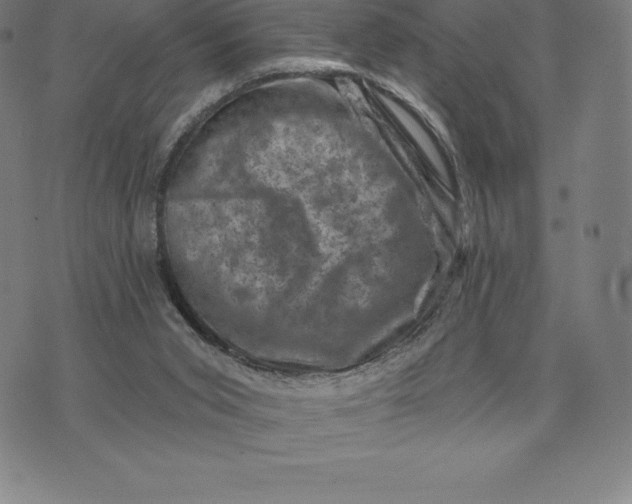 X0000074040015200609111750