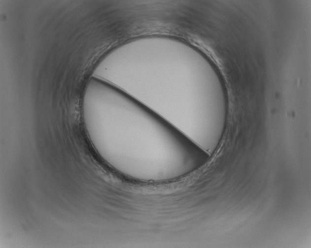 X0000074040017200609111750