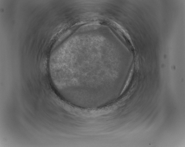 X0000074040018200609111750