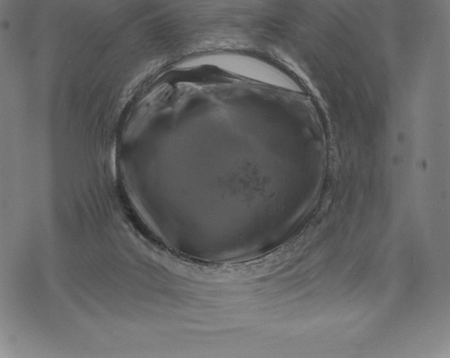 X0000074040019200609111750