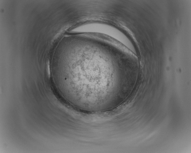 X0000074040020200609111750