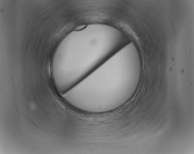 X0000074040021200609111750