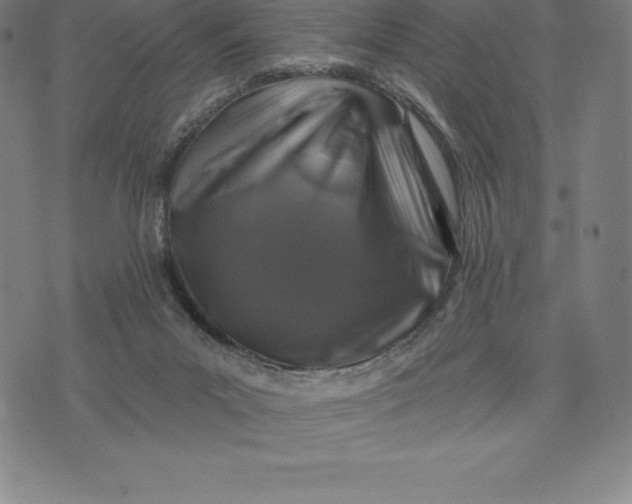 X0000074040023200609111750