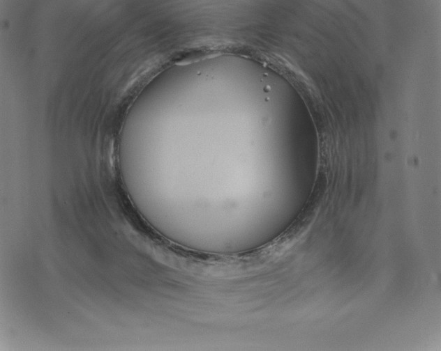 X0000074040024200609111750