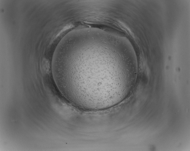 X0000074040025200609111750