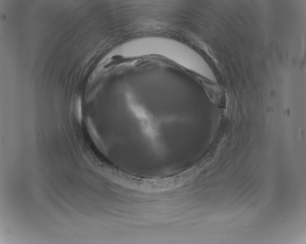 X0000074040027200609111750