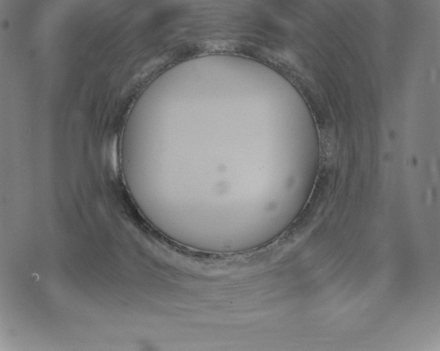 X0000074040028200609111750