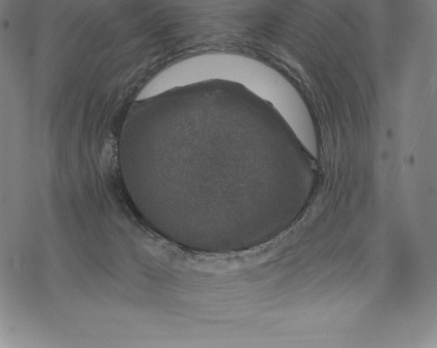 X0000074040029200609111750