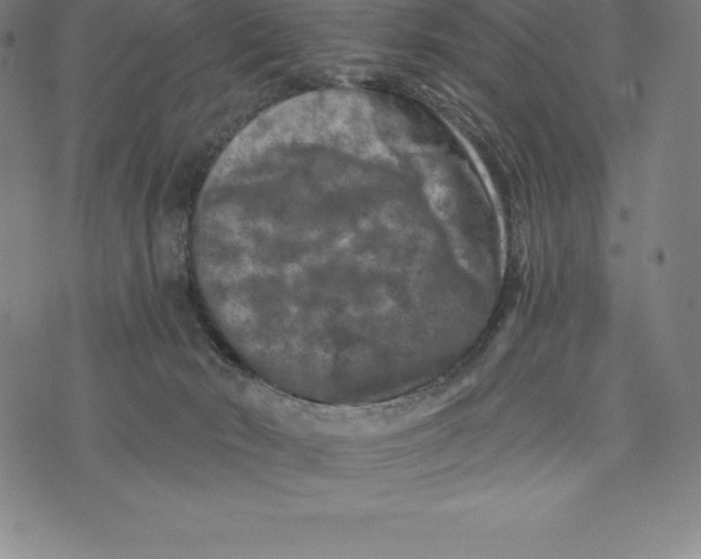 X0000074040030200609111750