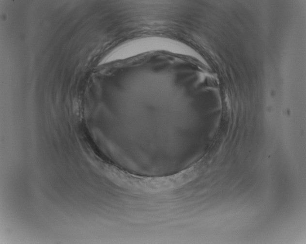 X0000074040031200609111750