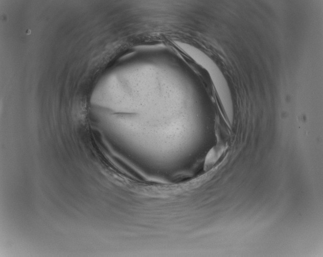 X0000074040033200609111750